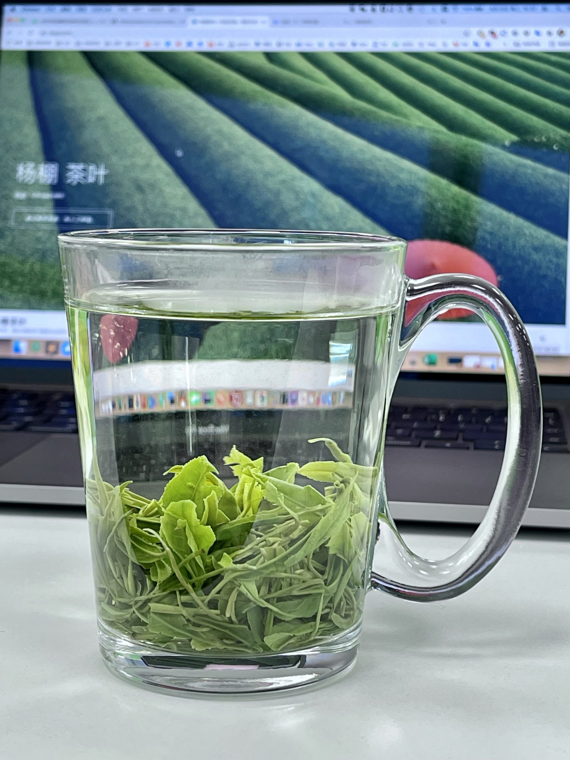 杨棚茶叶 – 欢迎光临，请自行前往农户家购买正宗茶叶。